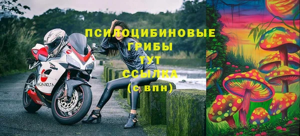 кокс Баксан