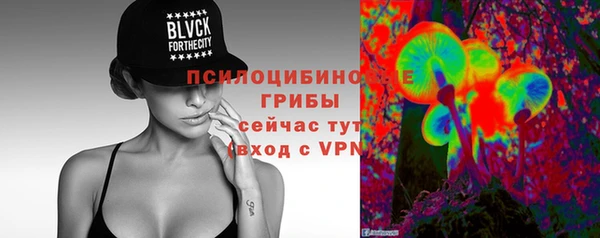 ПСИЛОЦИБИНОВЫЕ ГРИБЫ Балабаново