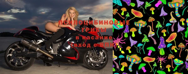 кокс Баксан