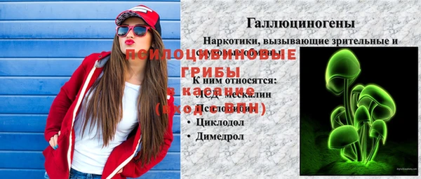 ПСИЛОЦИБИНОВЫЕ ГРИБЫ Балабаново