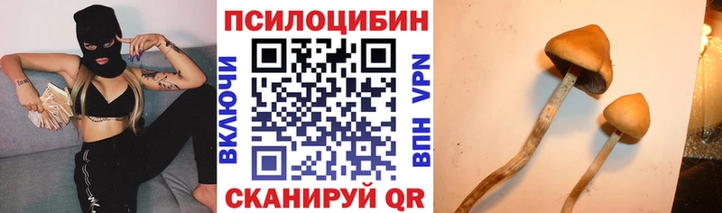 Галлюциногенные грибы Magic Shrooms  что такое наркотик  Вичуга 